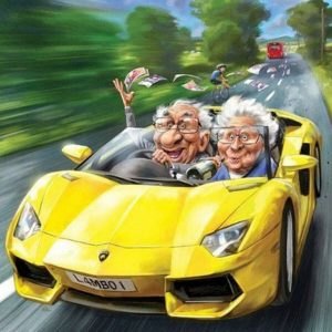 Lee más sobre el artículo Sports car Crazy Old couple Full drill 5D Diamond Painting Home Decor Gift N6177